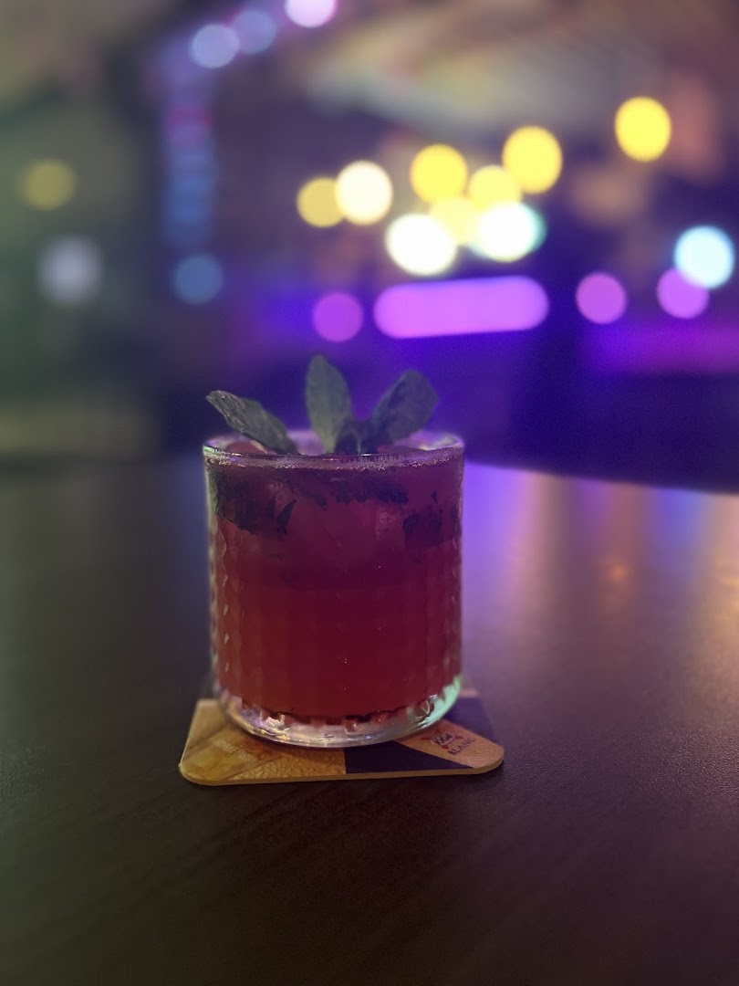 Drunk' Cat Publika — photo 4