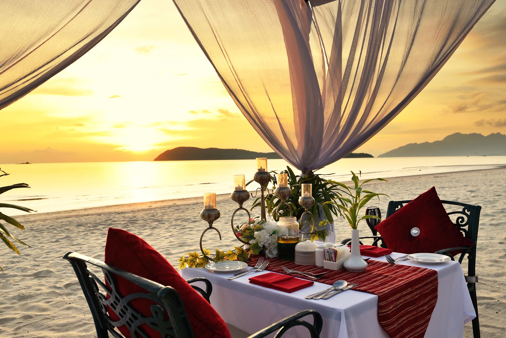 Tropical Beach Bar — photo 3