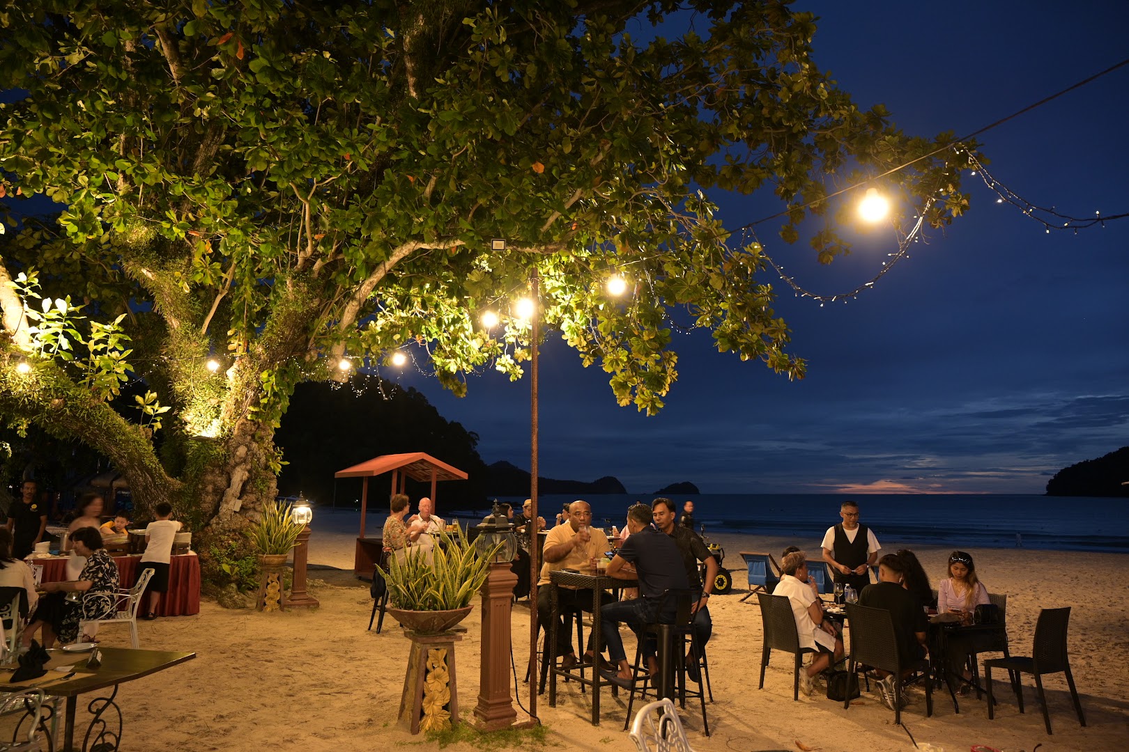 Tropical Beach Bar — photo 5